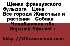 Щенки французского бульдога › Цена ­ 30 000 - Все города Животные и растения » Собаки   . Челябинская обл.,Верхний Уфалей г.